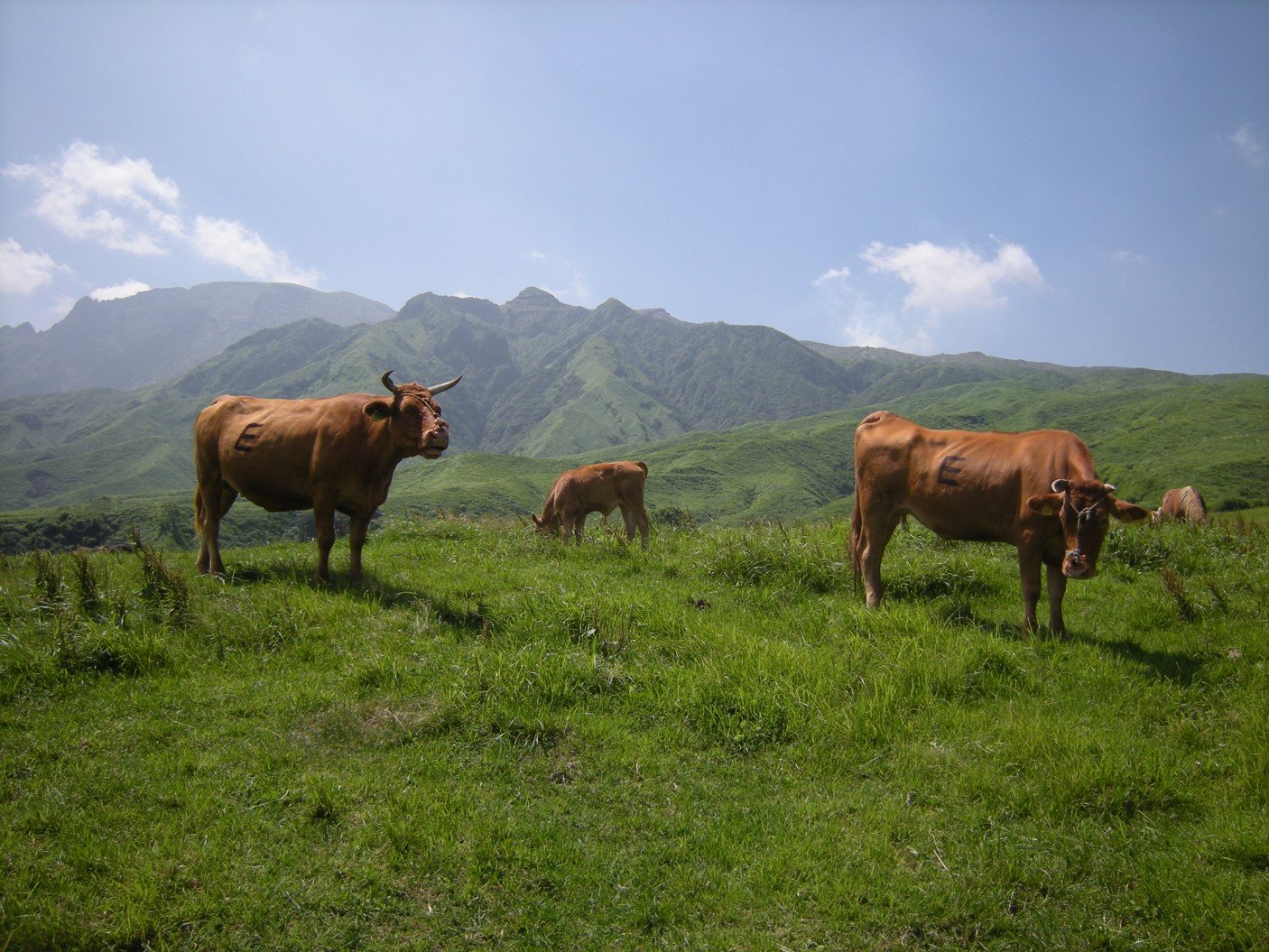 ♨️ 우치노마키 온천 이미지 4